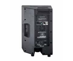  PEAVEY PVXp 10  DSP Активная акустическая система фото 3