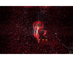  Global Effects Power-150 Подвесная конфетти-машина фото 3