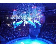  Global Effects Power-150 Подвесная конфетти-машина фото 5