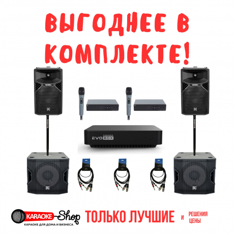  Караоке-комплект EVOBOX PLUS VIP (до 90кв.м.)	 фото 1